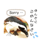 動物たちに秋が来た！by 英語チノカフェ（個別スタンプ：14）