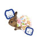 kinakoはRabbit ⑧（個別スタンプ：10）