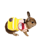 kinakoはRabbit ⑧（個別スタンプ：21）