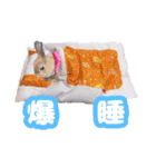 kinakoはRabbit ⑧（個別スタンプ：24）