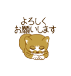 猫なのよ、よろしく。（個別スタンプ：3）