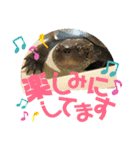 クサガメのカメ太 No.2（個別スタンプ：9）