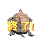 クサガメのカメ太 No.2（個別スタンプ：25）