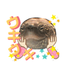 クサガメのカメ太 No.2（個別スタンプ：27）