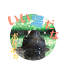 クサガメのカメ太 No.2（個別スタンプ：38）