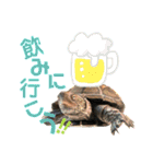 クサガメのカメ太 No.2（個別スタンプ：39）