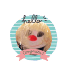 もしゃこの基本挨拶（個別スタンプ：16）