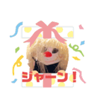 もしゃこの基本挨拶（個別スタンプ：23）