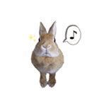うさぎのみみ子 2（個別スタンプ：16）
