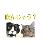 モジャ猫のりんたろう（個別スタンプ：18）