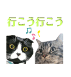 モジャ猫のりんたろう（個別スタンプ：20）