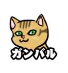 ねこだらスタンプ（犬はいないよ）その3（個別スタンプ：6）