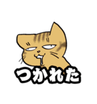 ねこだらスタンプ（犬はいないよ）その3（個別スタンプ：7）