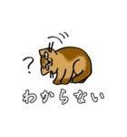 ねこだらスタンプ（犬はいないよ）その3（個別スタンプ：34）