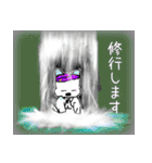 八重山ワン！ダフル LIFE！！（個別スタンプ：11）