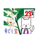 八重山ワン！ダフル LIFE！！（個別スタンプ：22）