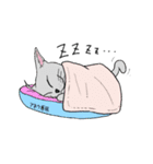 ドクター アネラ04（個別スタンプ：5）