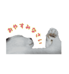可愛い保護猫さん達。（個別スタンプ：6）