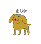 ワ ハ ハ DREAM（個別スタンプ：17）