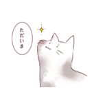 真顔と猫のスタンプ2（個別スタンプ：6）