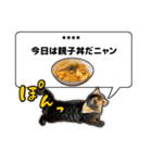 今日のご飯はこれニャンVol1（個別スタンプ：13）