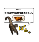 今日のご飯はこれニャンVol1（個別スタンプ：15）