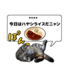 今日のご飯はこれニャンVol1（個別スタンプ：19）