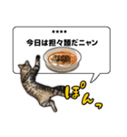 今日のご飯はこれニャンVol1（個別スタンプ：37）