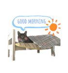 4匹のねこ。（個別スタンプ：12）