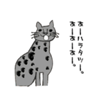 水玉猫さん（個別スタンプ：10）