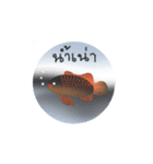 モモは魚が大好き（個別スタンプ：10）