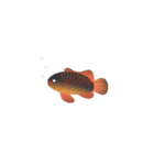 モモは魚が大好き（個別スタンプ：12）