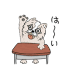 アルスタ（個別スタンプ：5）