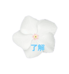 日常に使える彩り花スタンプ（個別スタンプ：2）