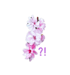 日常に使える彩り花スタンプ（個別スタンプ：3）