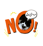 猫だってトークしたい 素直なひと言（個別スタンプ：2）