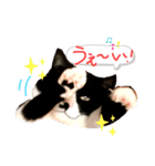 猫だってトークしたい 素直なひと言（個別スタンプ：4）
