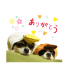 まめともも HappyLife（個別スタンプ：1）