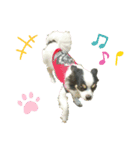 まめともも HappyLife（個別スタンプ：6）