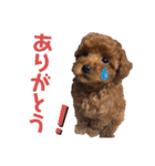ティノのにちじょう（個別スタンプ：7）