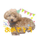 ティノのにちじょう（個別スタンプ：8）