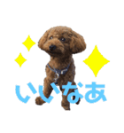 ティノのにちじょう（個別スタンプ：10）
