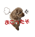 ティノのにちじょう（個別スタンプ：16）