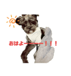 レオぴ。（個別スタンプ：1）