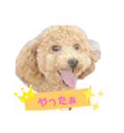 昊空の日常会話Part1（個別スタンプ：7）