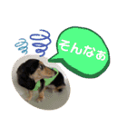 まるこ13（個別スタンプ：4）