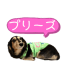 まるこ13（個別スタンプ：5）