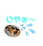 まるこ13（個別スタンプ：7）