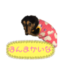 まるこ13（個別スタンプ：8）