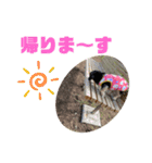 まるこ13（個別スタンプ：15）